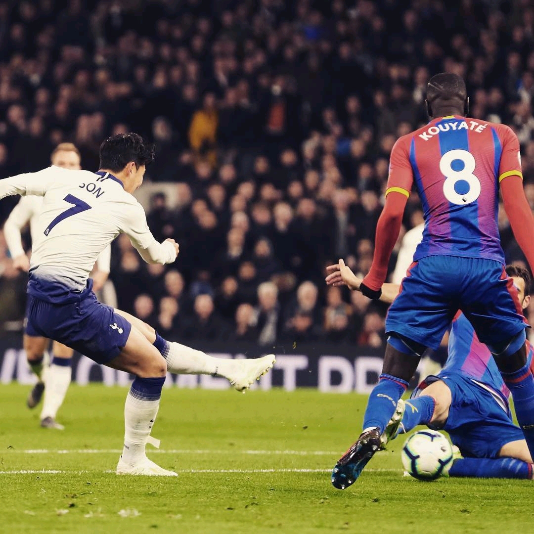 其他豪门的 其他豪门的